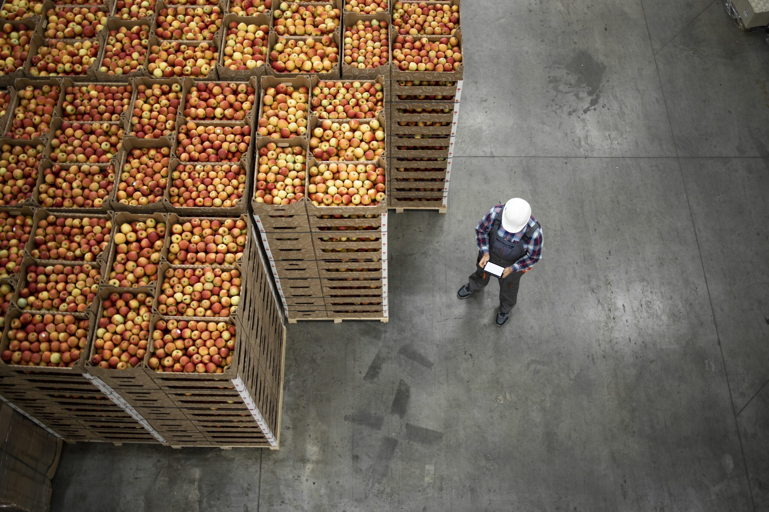 Interior aerial view of cold storage facility with inventory worker looking over pallets of apples 